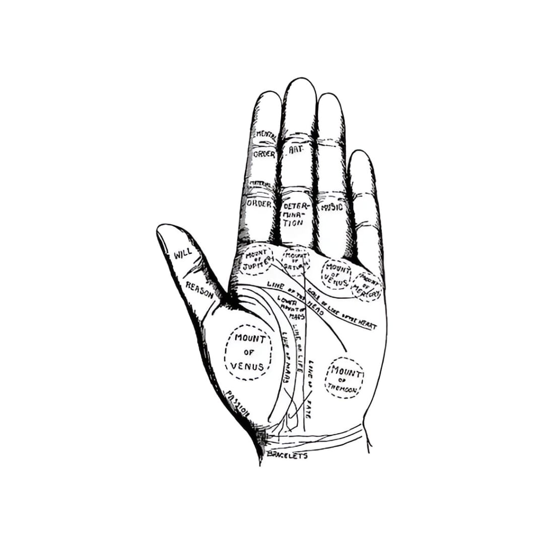 Left Hand