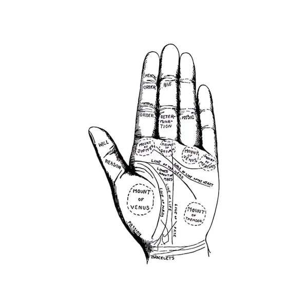 Palm Reader
